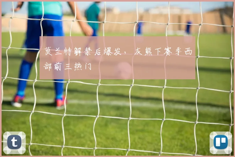 莫兰特解禁后爆发,灰熊下赛季西部前三热门