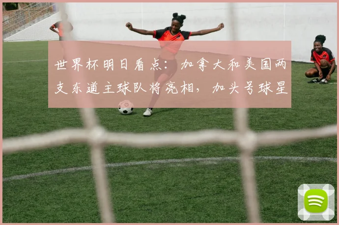 世界杯明日看点：加拿大和美国两支东道主球队将亮相，加头号球星阿方索·戴维斯大概率缺阵，波黑40岁老将哲科领衔